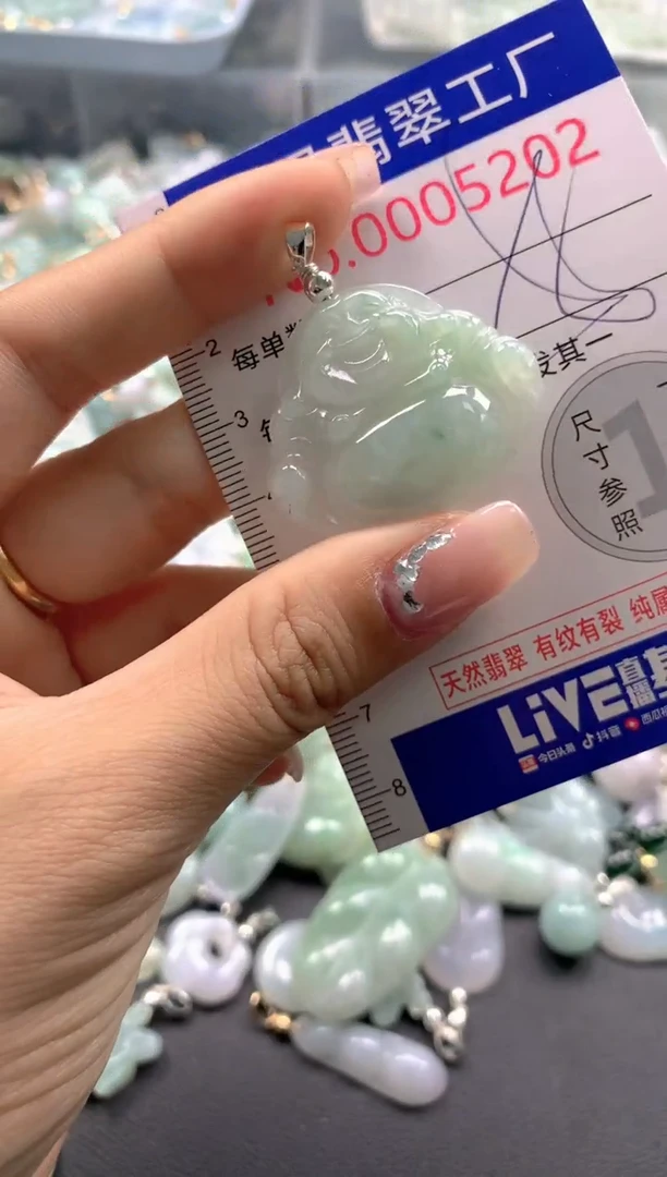颈饰未镶嵌翡翠5202