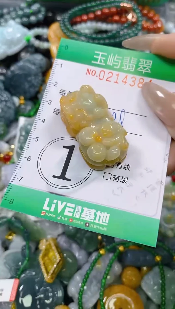 颈饰未镶嵌翡翠闪购0214384