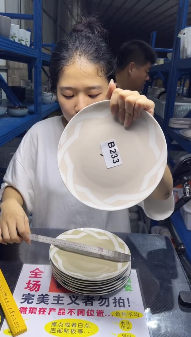 盘B233  8只装