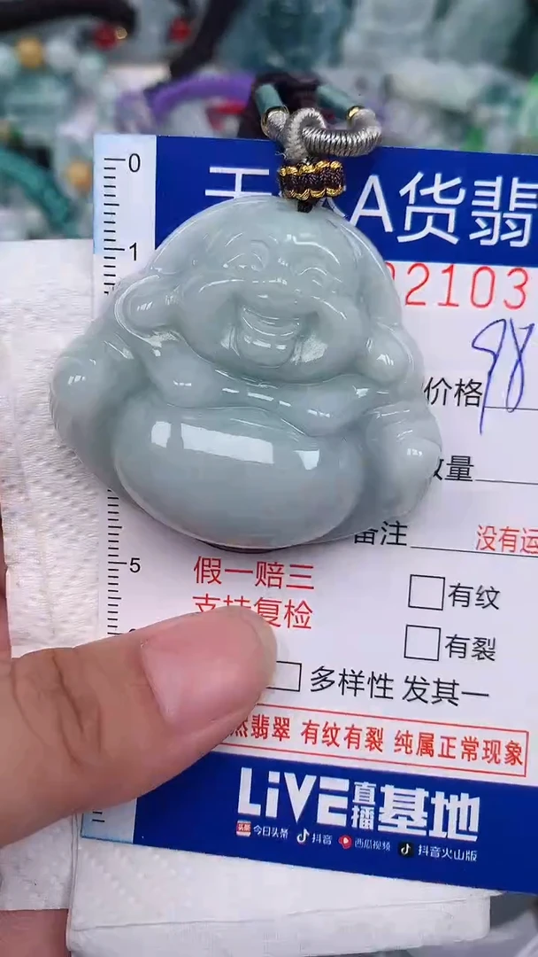 翡翠未镶嵌颈饰...0002103