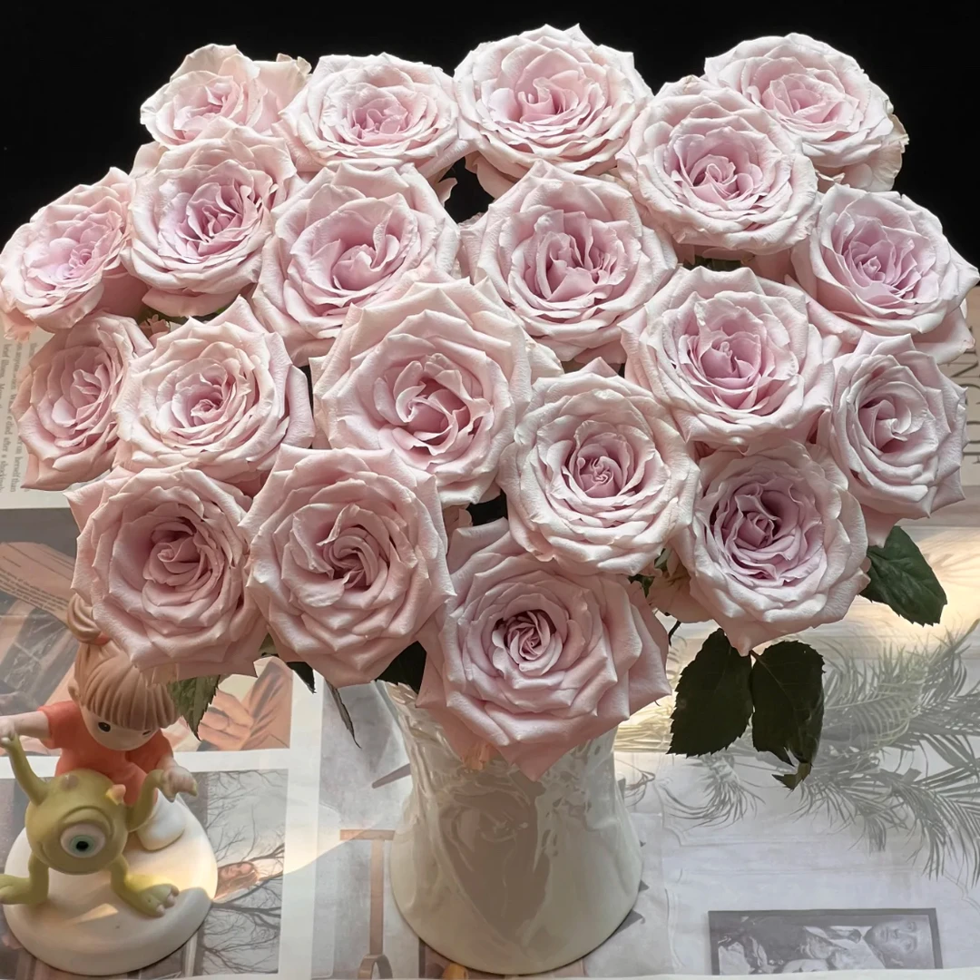 【北方玫瑰玫小朵&曼塔】花期持久 产地直发 一单韵达两单顺丰