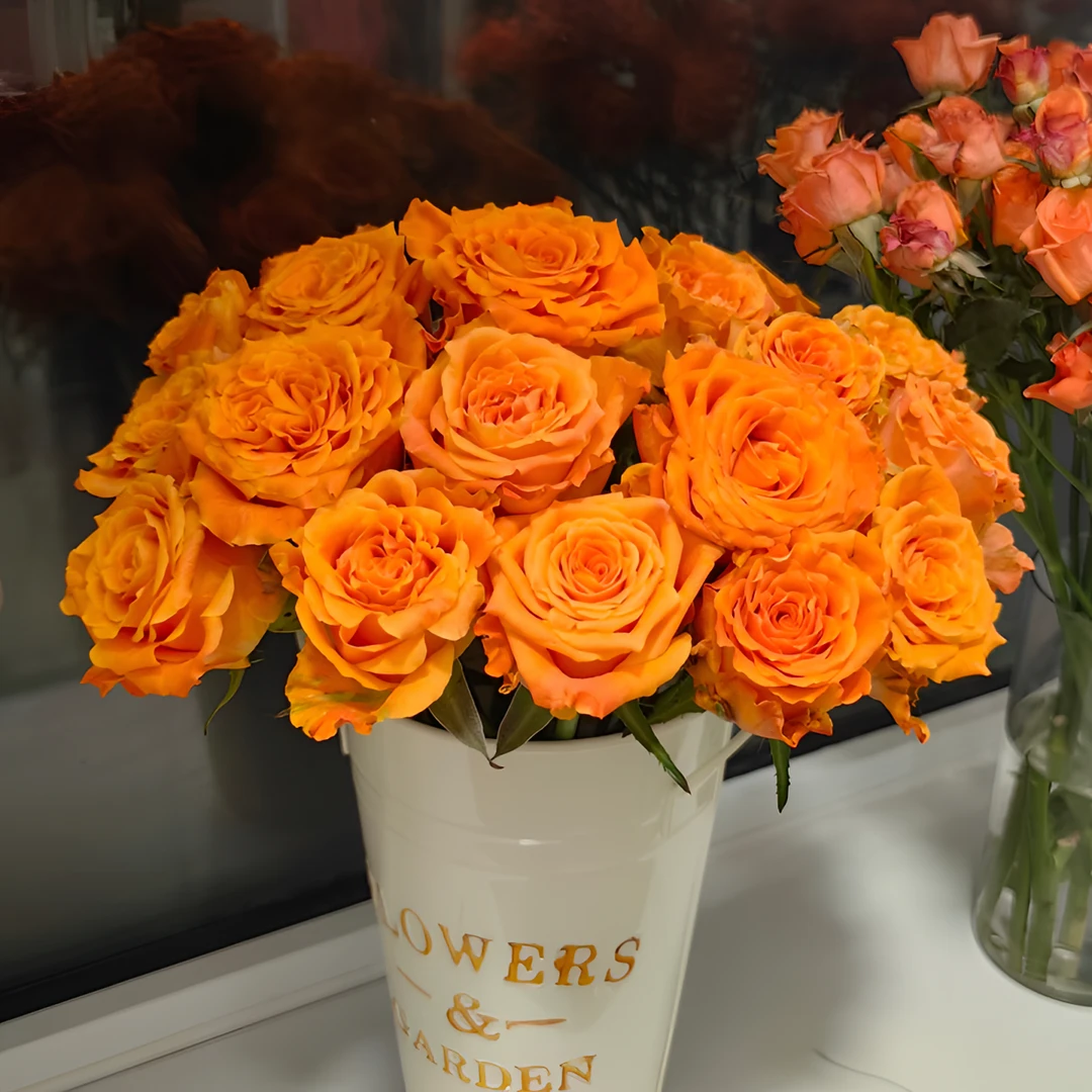 【巨蟹座大头玫瑰】橙色系 大花苞 颜色非常治愈的优秀玫瑰花鲜花