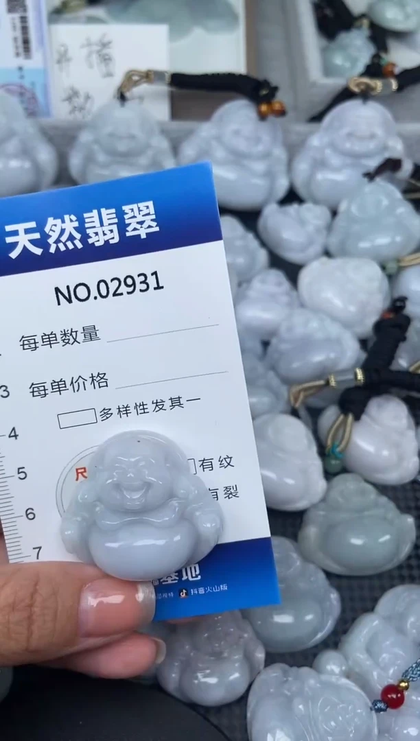 颈饰未镶嵌翡翠纯天然A货翡翠2931