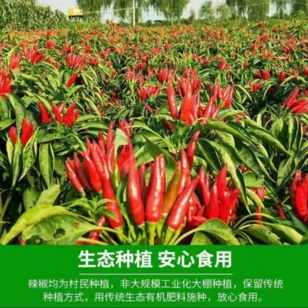 新鲜农家现摘小米辣特辣朝天椒5斤装辣椒