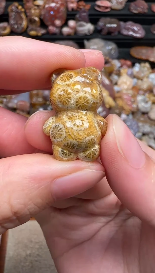 颈饰未镶嵌硅化珊瑚（珊瑚玉）323