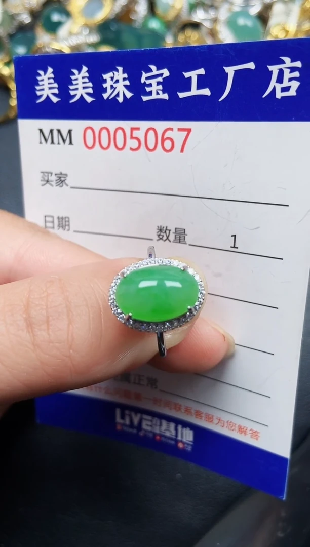 翡翠银S925镶嵌颈饰5067