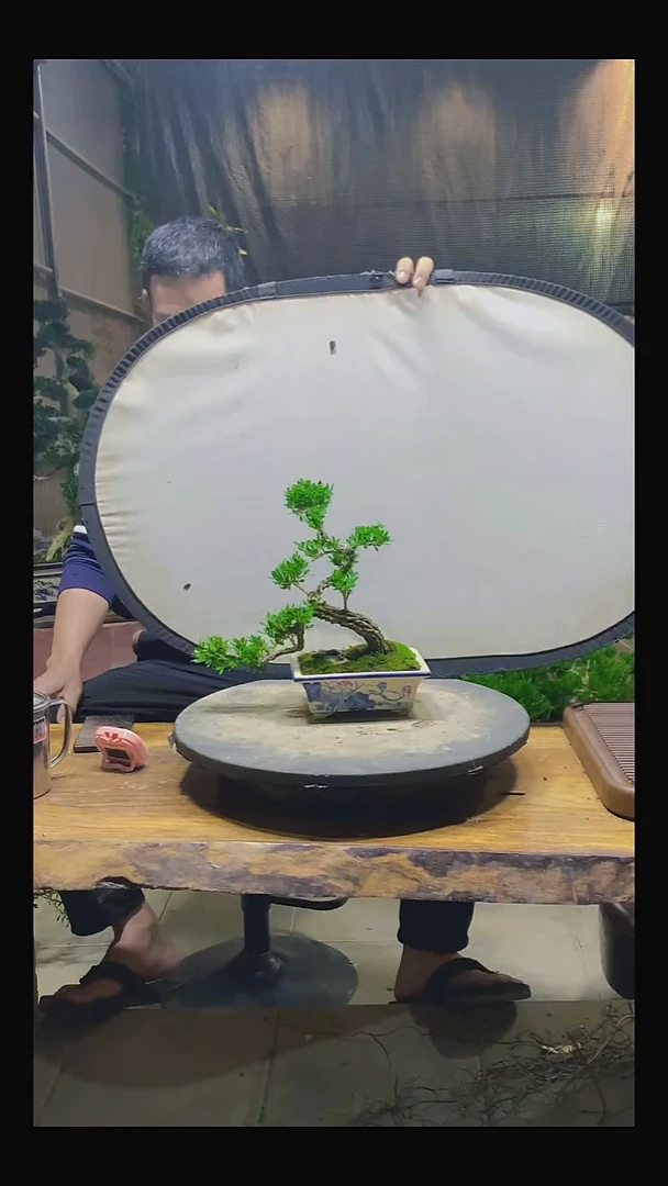 完全开放胜**子11111111