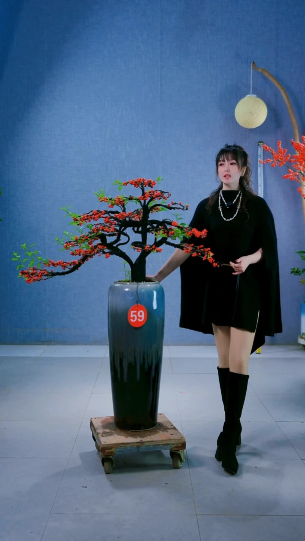 无花朵云**轻59号盆...