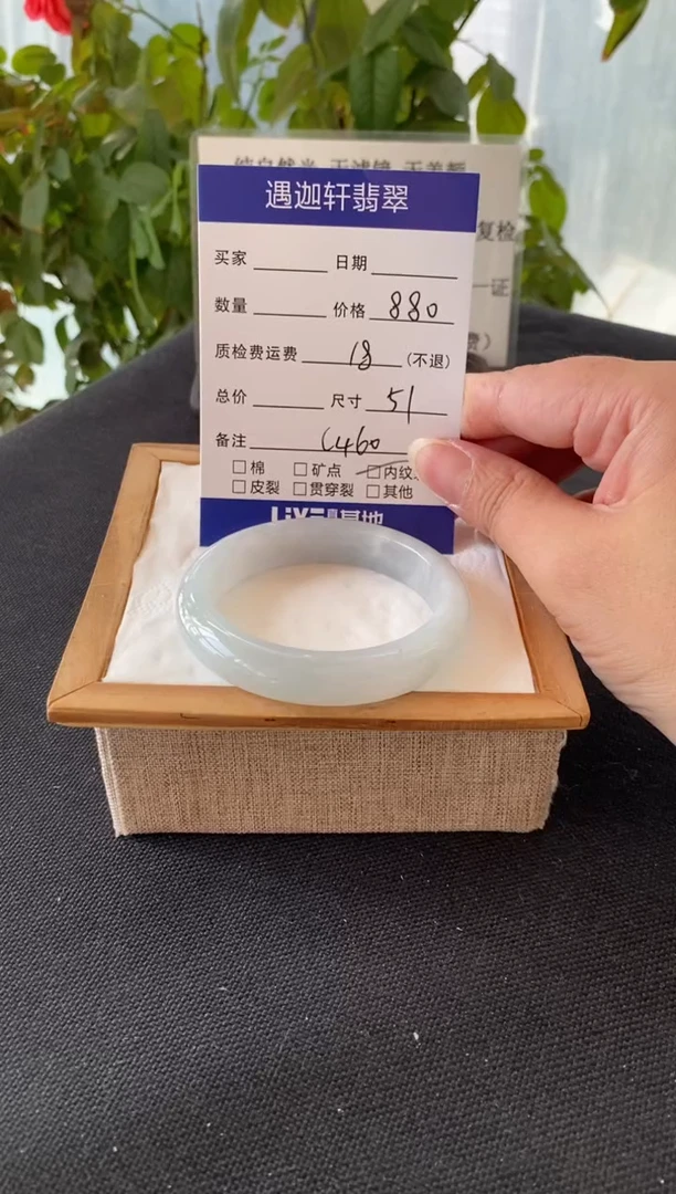 未镶嵌手镯翡翠51圈口 C460编码
