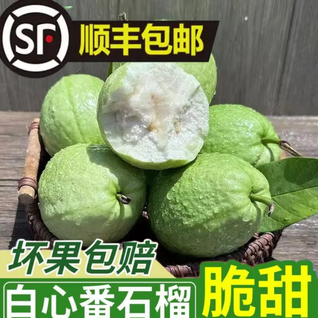 顺丰包邮广西网红珍珠白芭乐番石榴新鲜应季水果脆甜孕妇家庭水果