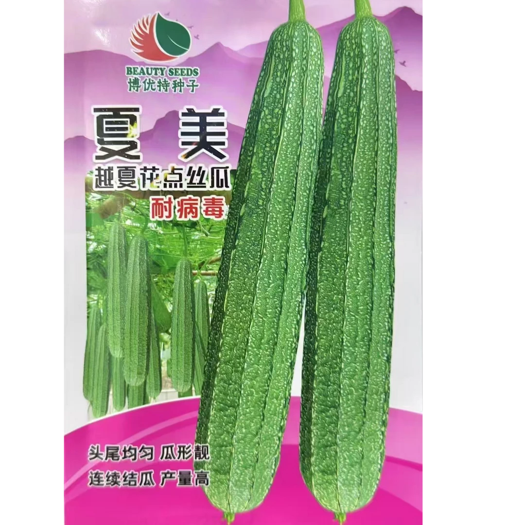 夏美耐高温耐病毒丝瓜蔬菜苗种子摘期长，40几天有瓜摘，节节有瓜