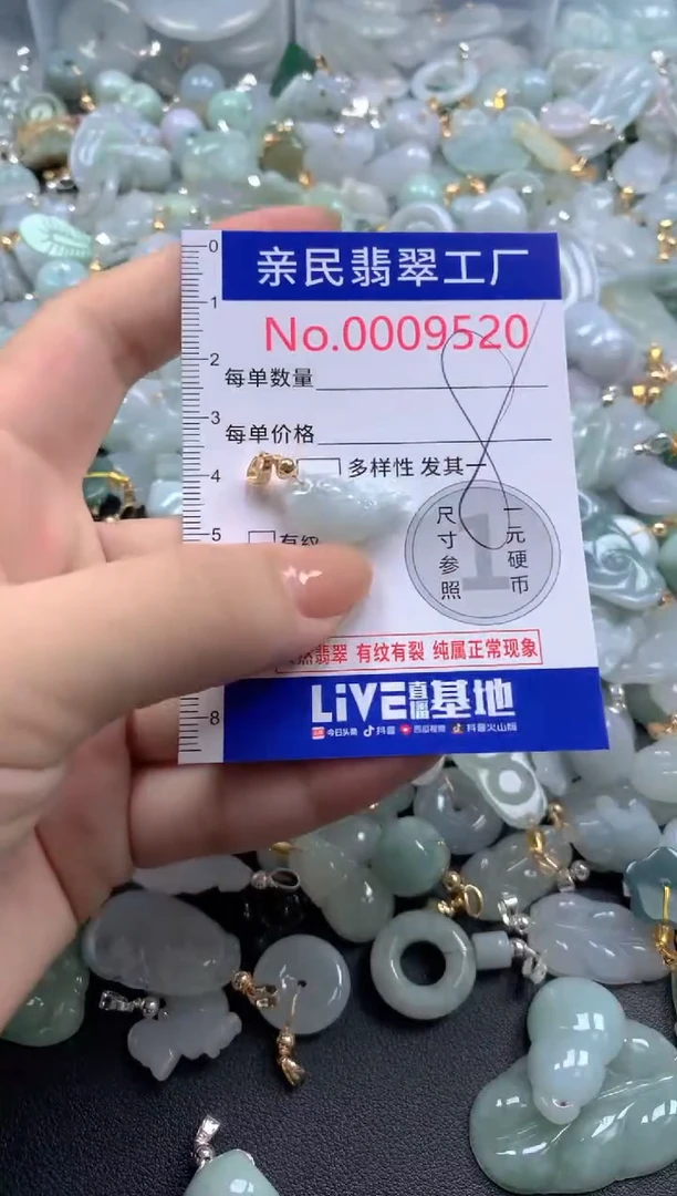 颈饰未镶嵌翡翠9520