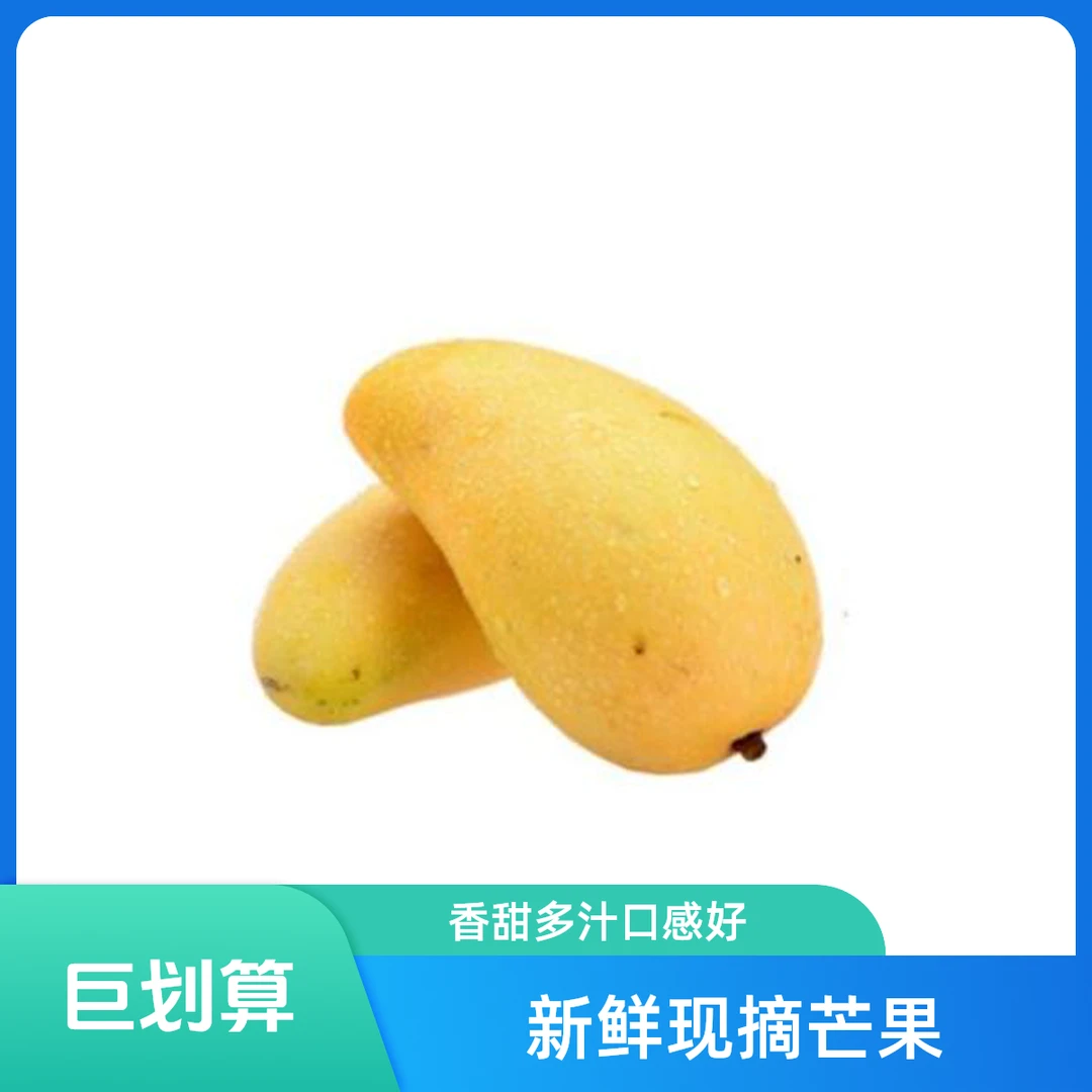 小台芒芒果山东省