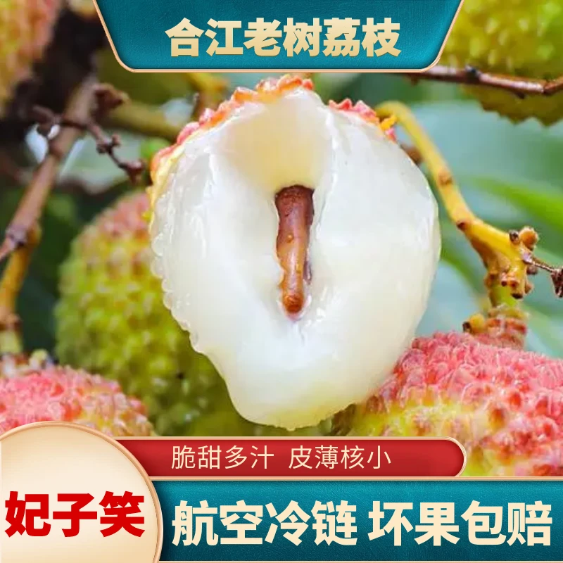 正宗合江荔枝老树妃子笑荔枝新鲜采摘现摘现发航空冷链包邮到家