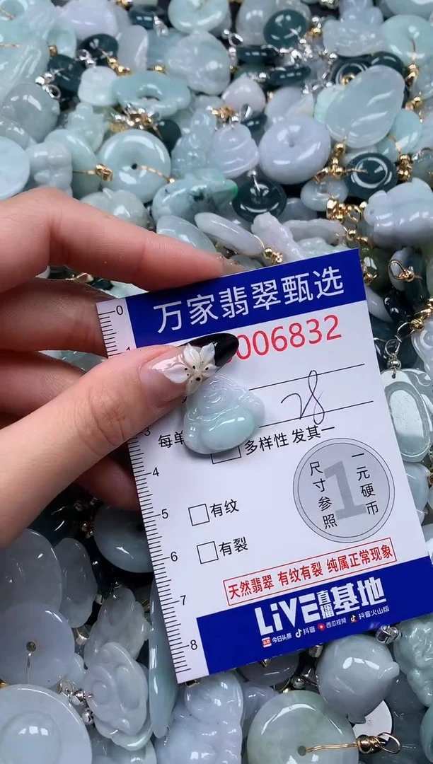 翡翠未镶嵌颈饰6832
