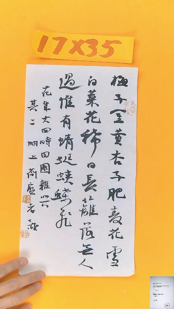 【闪购商品】书法江孝龙书法作品梅子金黄17*35