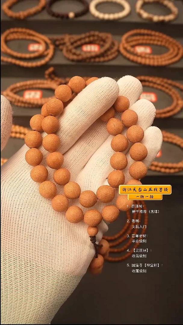 吊坠五线菩提y手持