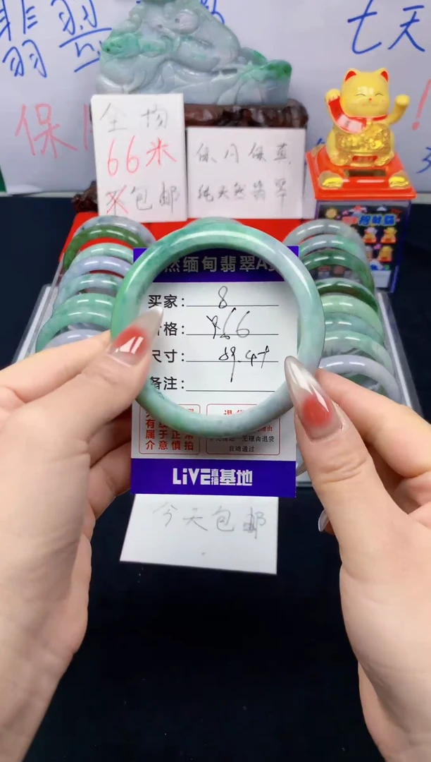 未镶嵌手镯翡翠8