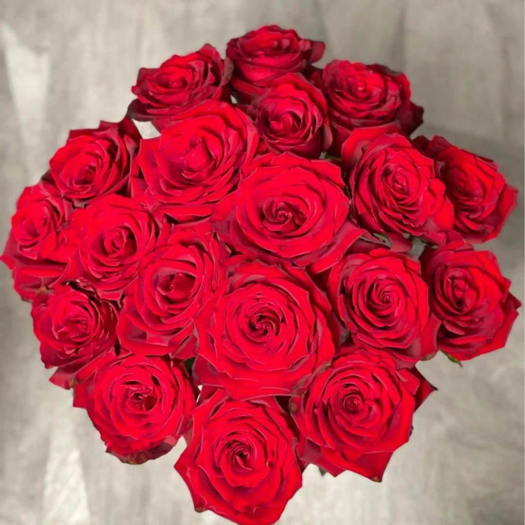 逸禾基地卡地亚单头红玫瑰鲜花基地直采直发2单顺丰包邮