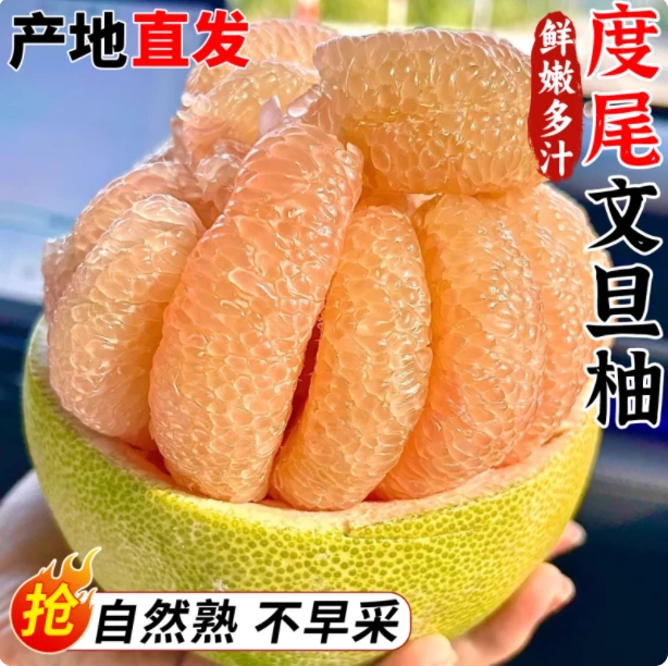 福建仙游度尾文旦柚红心白心蜜柚柚子新鲜应季孕妇水果酸甜多汁