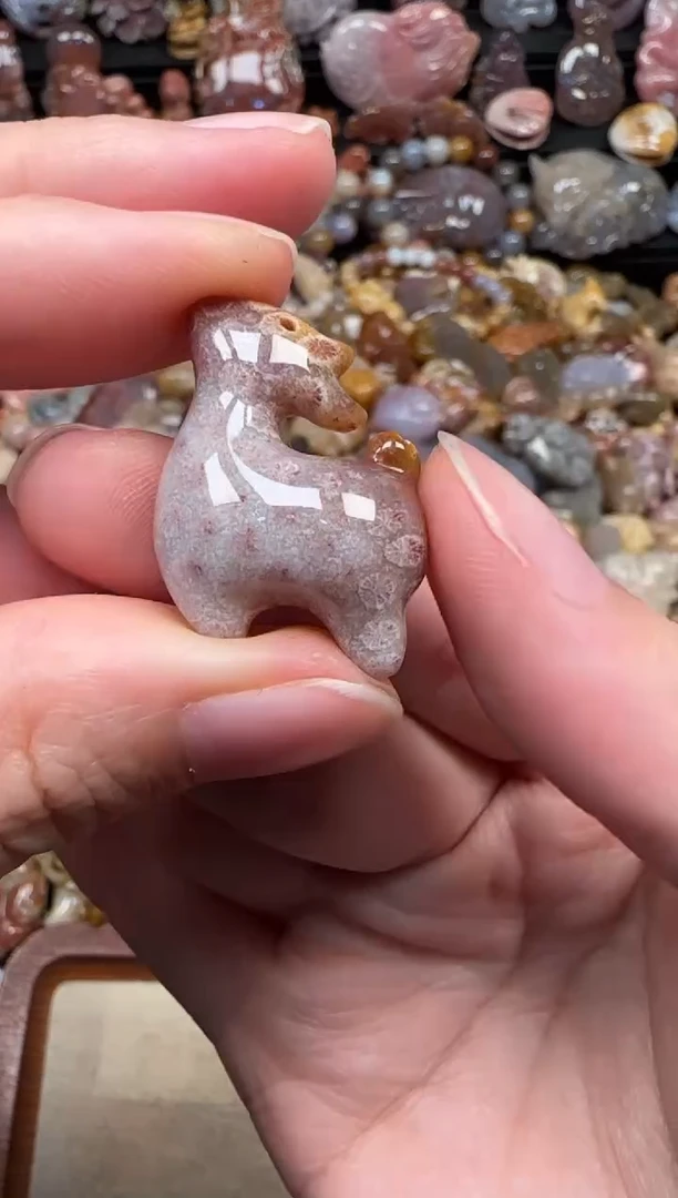 颈饰未镶嵌硅化珊瑚（珊瑚玉）279