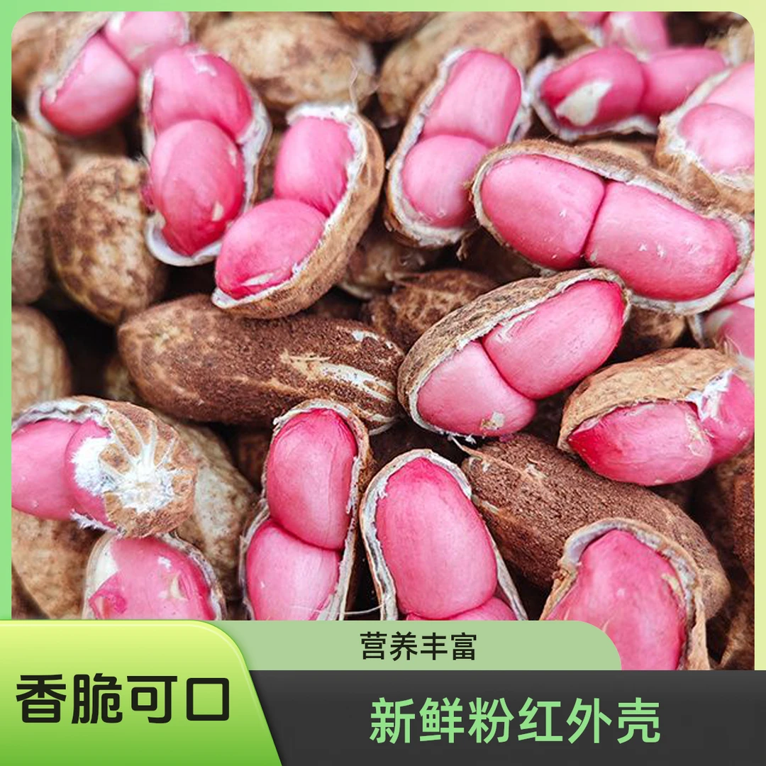 新鲜现挖带壳湿红皮花生可水煮农家自种