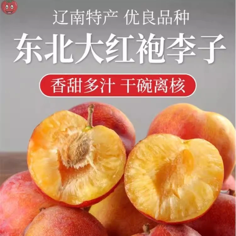 东北大红袍李子新鲜水果酸甜黄心脱骨李子当季孕妇水果