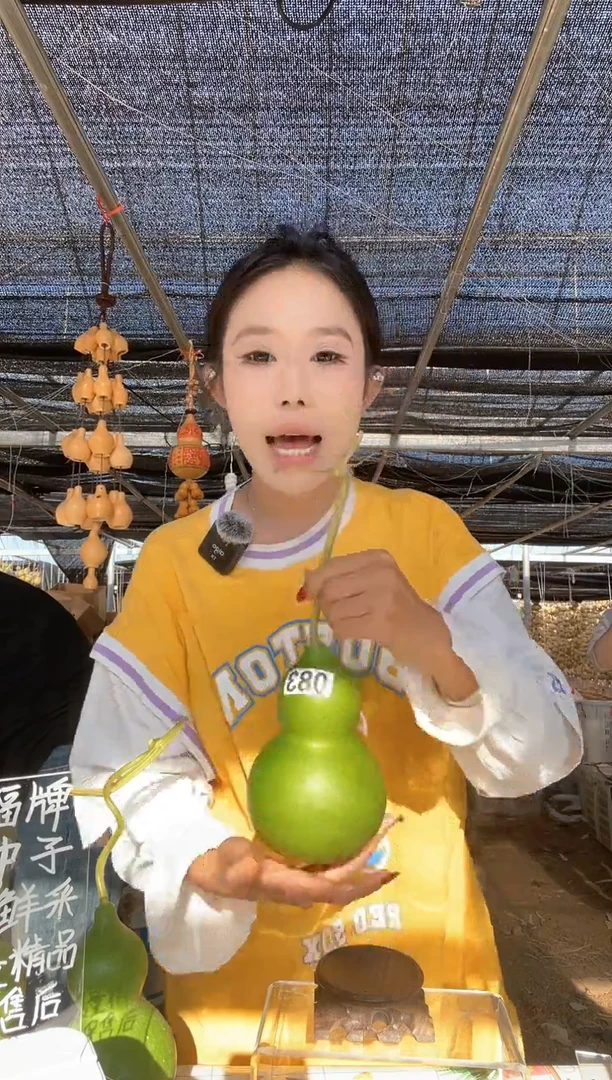 083天然葫芦摆件 一物一拍龙头不保售后