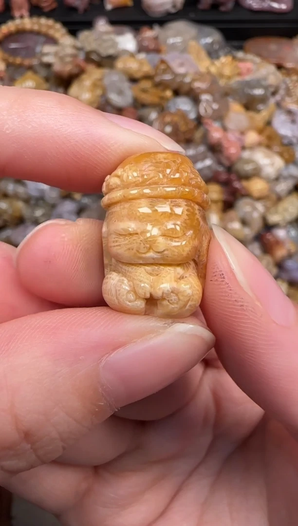 硅化珊瑚（珊瑚玉）未镶嵌颈饰281