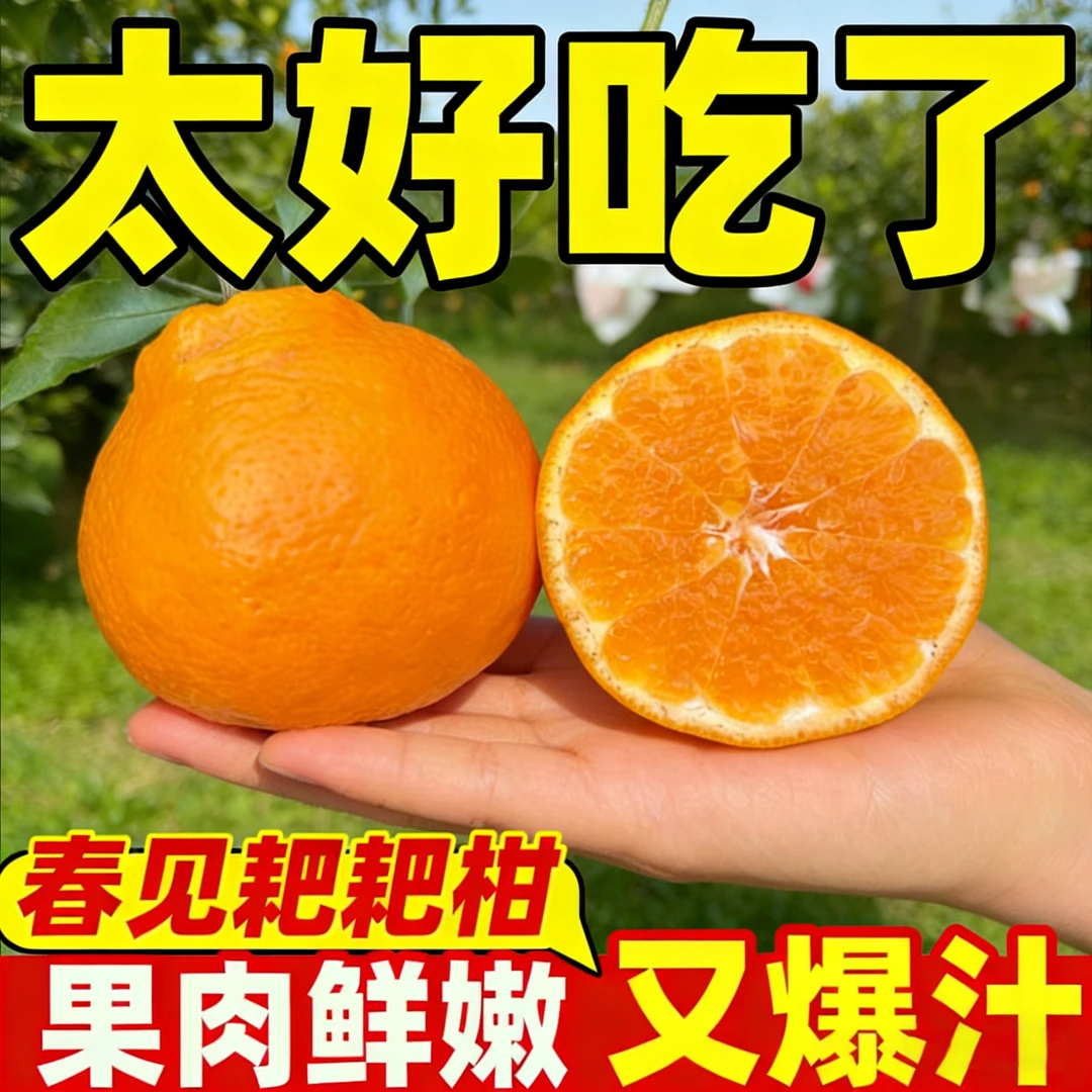 四川春见耙耙柑 应季水果 现摘现发 产地直发 新鲜爆汁多汁爽口