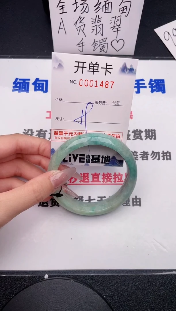 未镶嵌手镯翡翠47