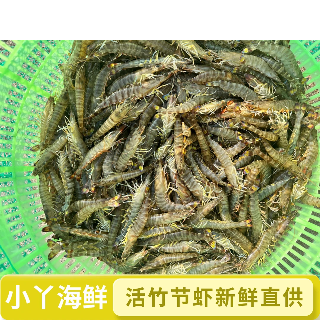 【活竹节虾45头左右】当地基围虾斑节虾 市内鲜发 市外冻发