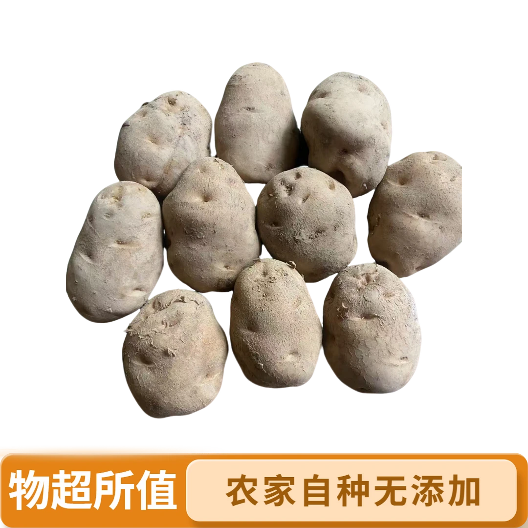 湖北恩施农家自种老品种马尔科土豆粉面香软糯有点发芽介意勿拍