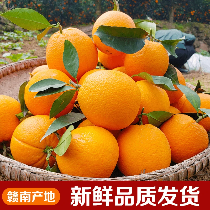 【带枝叶】正宗江西赣州赣南脐橙10斤新鲜甜橙子5斤当季水果包邮