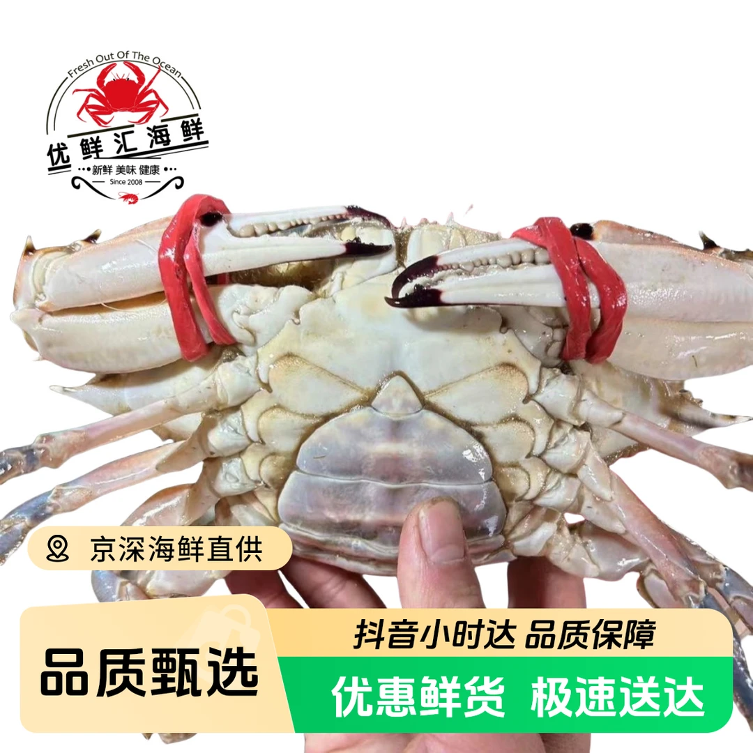 (特大全腿)母蟹 全黄 4-5两/只（1-5斤）