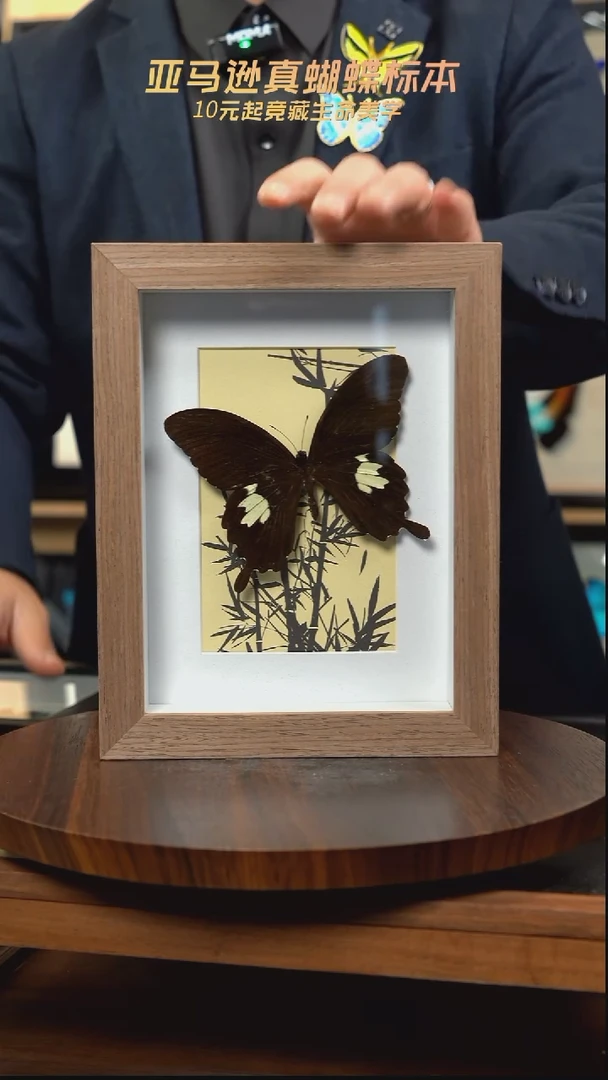 宽带凤蝶竹子款原木框