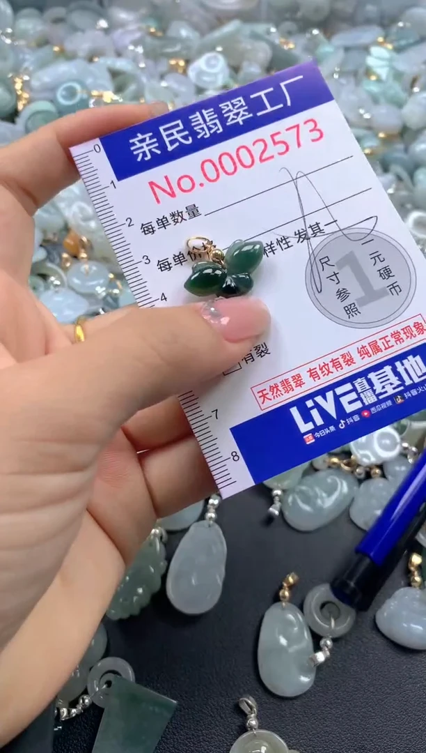 颈饰未镶嵌翡翠2573