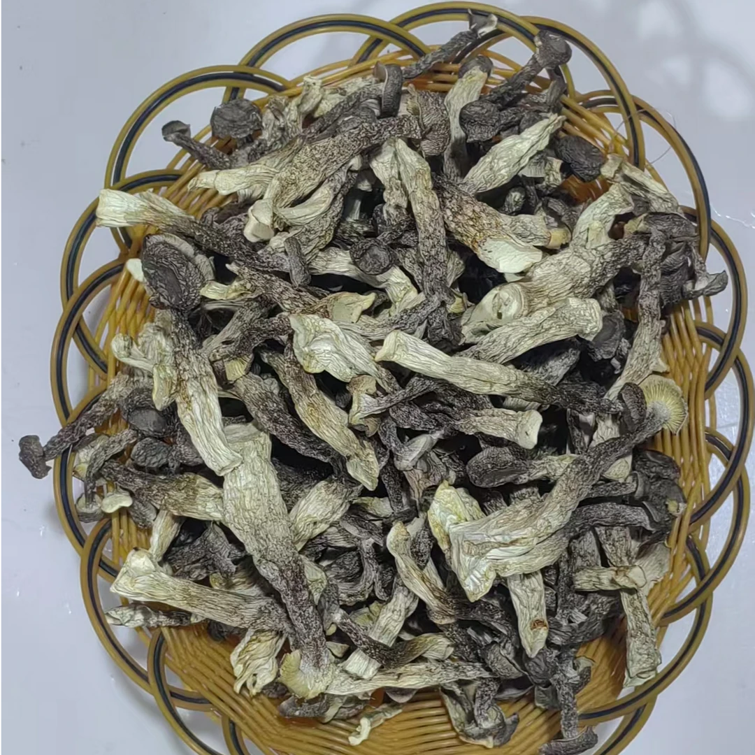 鹿茸菇，新鲜干货