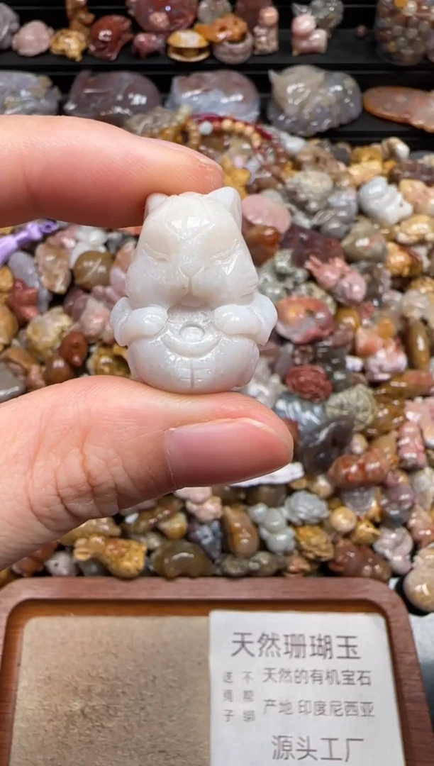 硅化珊瑚（珊瑚玉）未镶嵌颈饰246