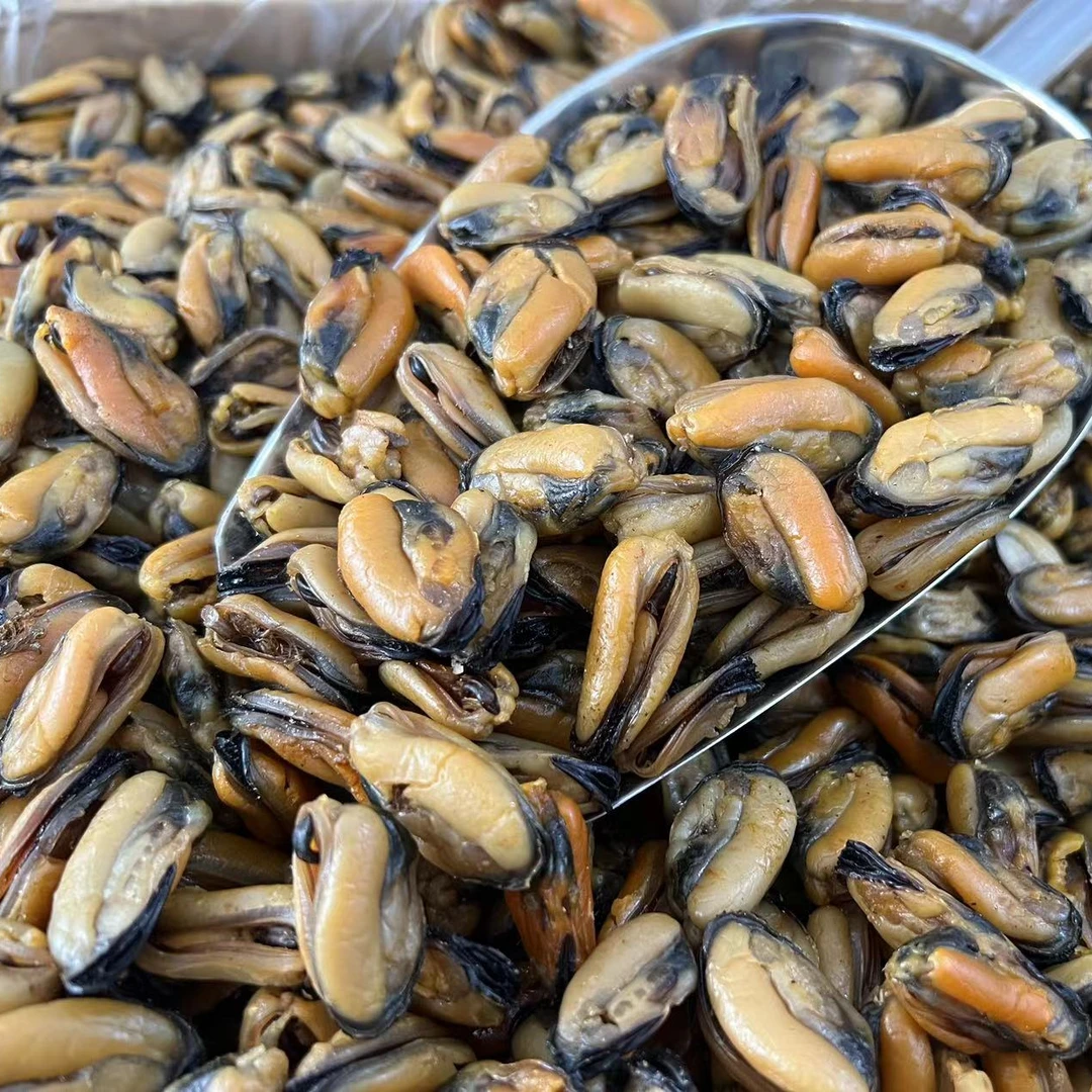 精选大号野淡菜干 肉质紧实煲汤煲粥海蛎干