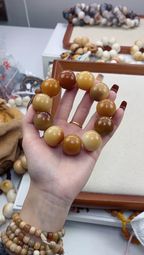 手串菩提根/象牙果n05干磨苹果落地果23mm手串瑕疵不补