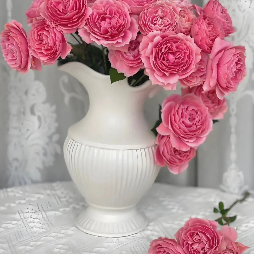 美丽，多头玫瑰，1单冷链包邮，2单升级顺丰冷链，远的发德邦