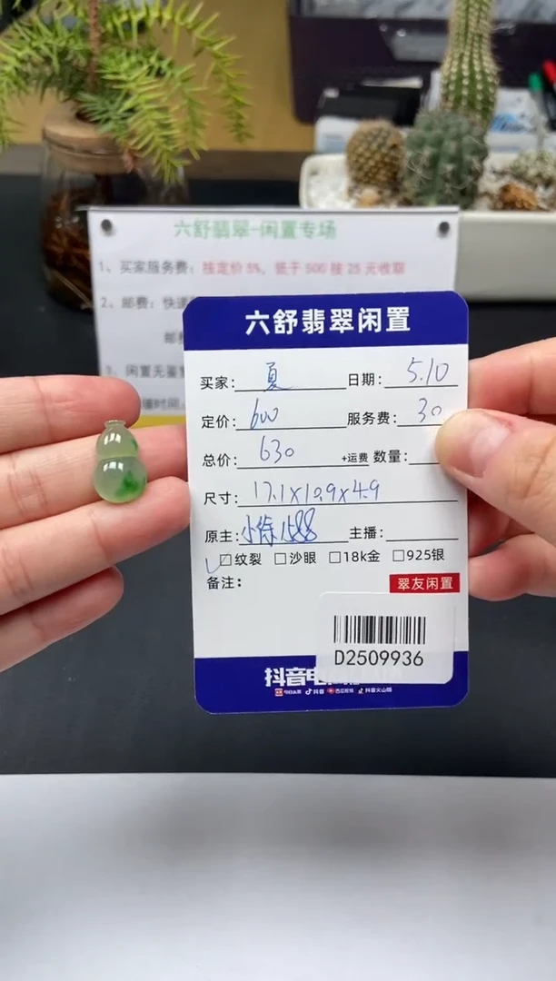 翡翠未镶嵌颈饰D2509936