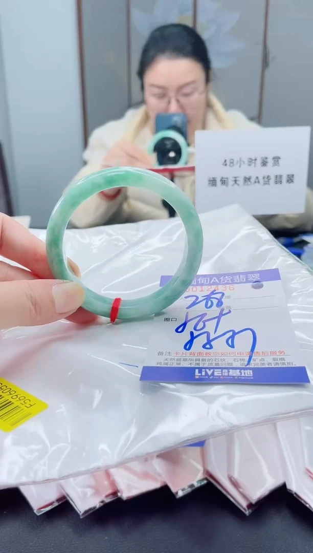 未镶嵌手镯翡翠我2