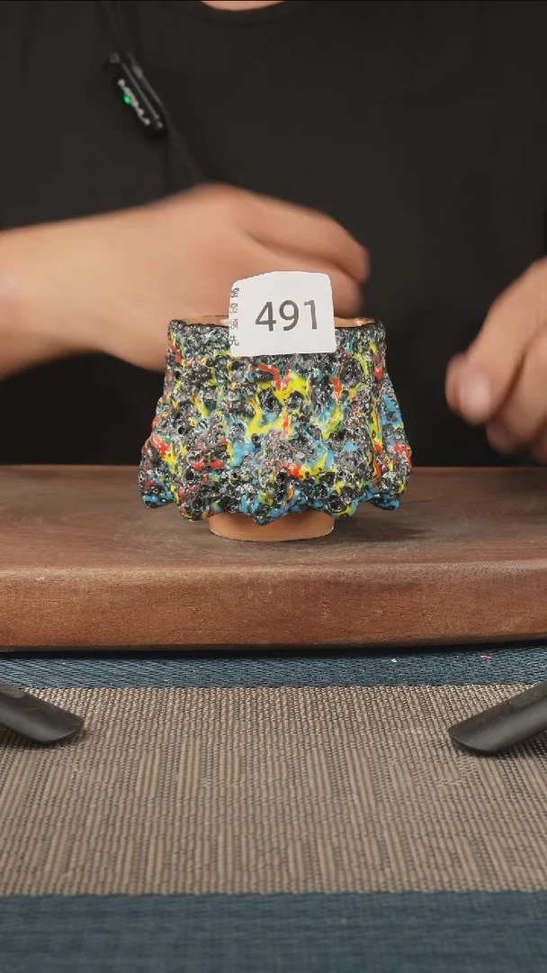 491窑窑领先 孤品原创