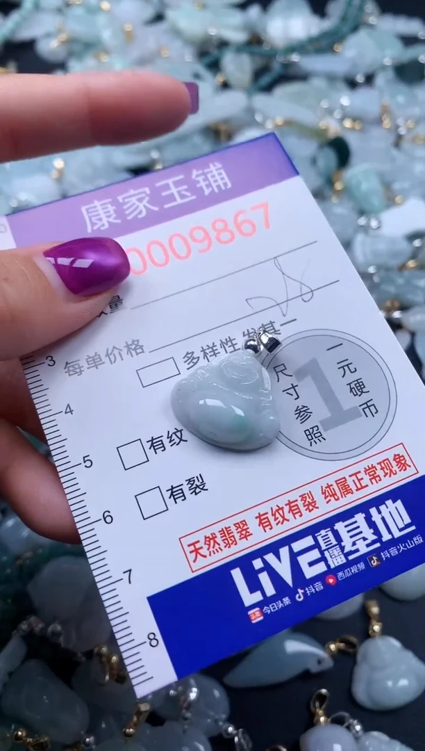 颈饰未镶嵌翡翠9867