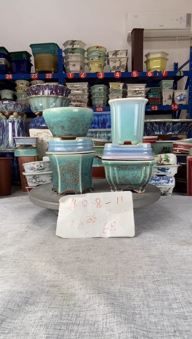 10111六只美人醉花盆