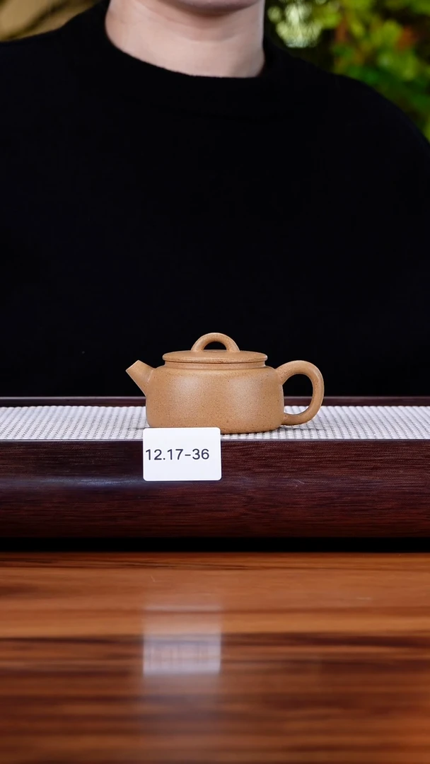 茶壶紫砂蜻*12.17-36 黄金段  井泉