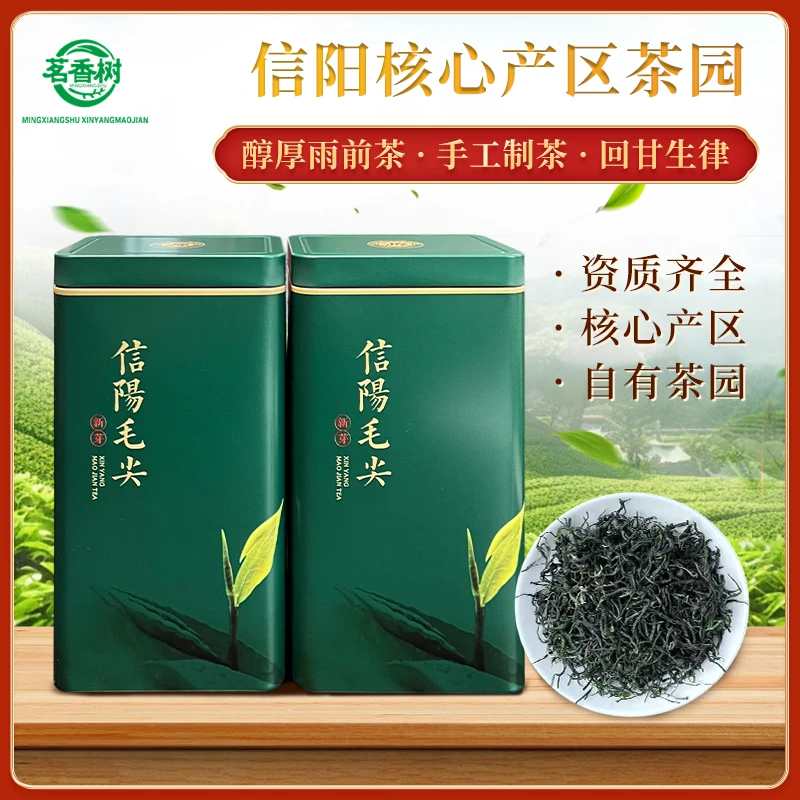 茗香树正宗信阳毛尖茶叶手工雨前茶口感回甘佳