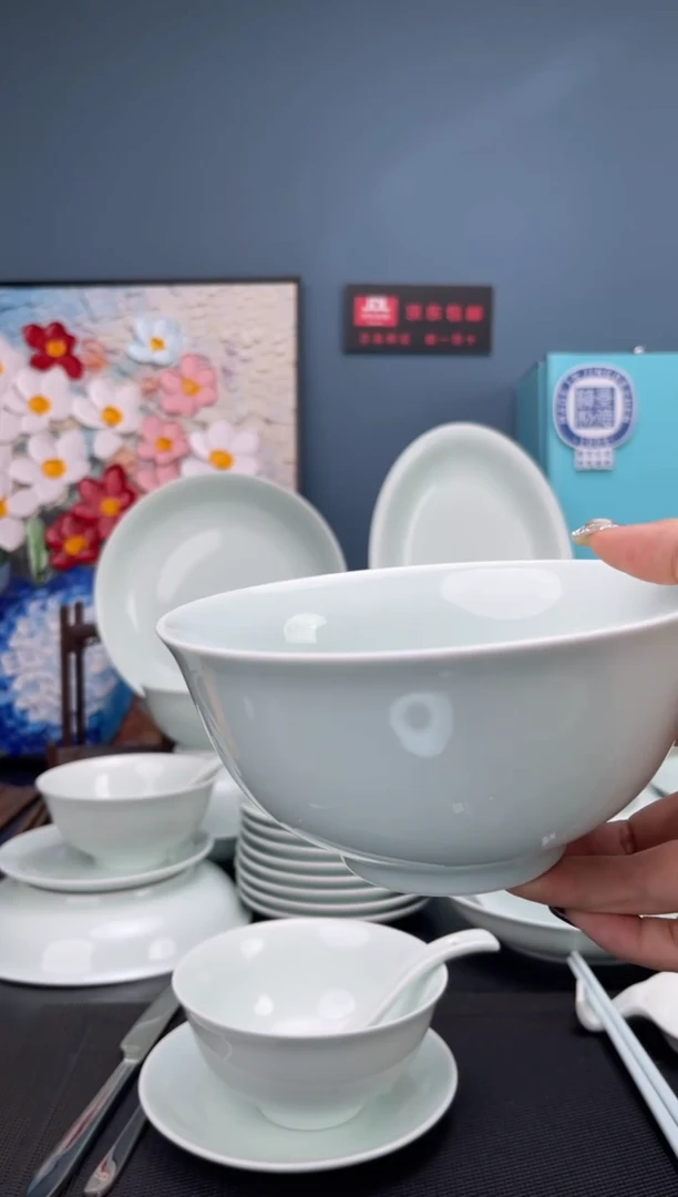 瓷景德镇器象陶瓷面碗